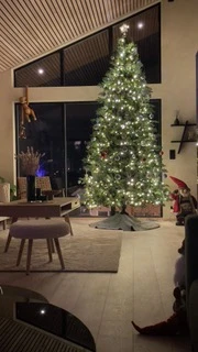 JULETRE