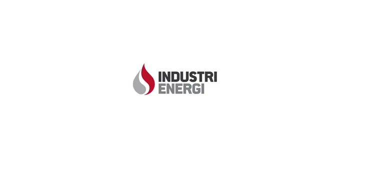 ie%20logo
