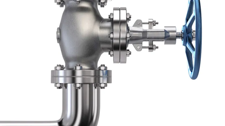 shutterstock_219274531