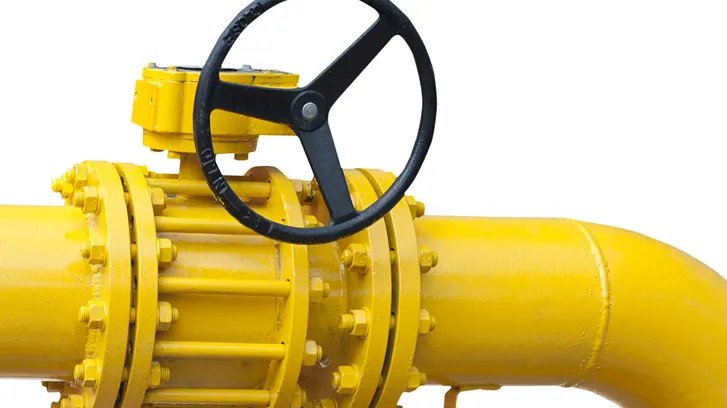 shutterstock_84018010